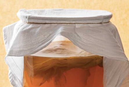 Safety and Sanitation